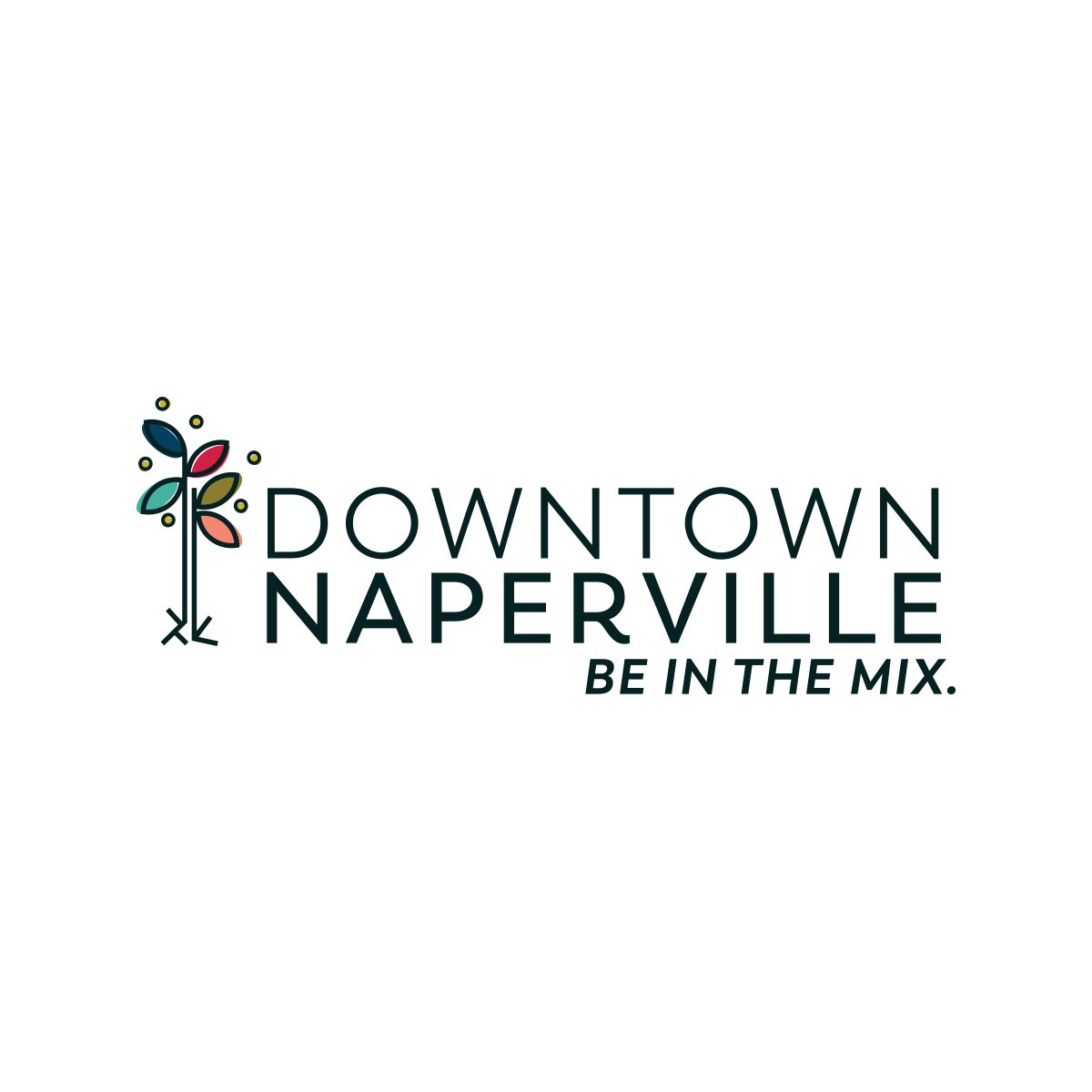 Dash of Nash - Downtown Naperville Alliance